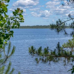 mls_1306 Green Springs-5