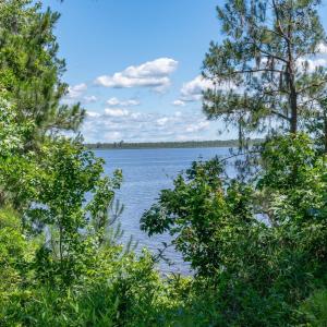 mls_1306 Green Springs-4