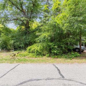 23-web-or-mls-707A3115