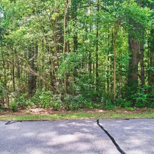 08-8_6 Lakeshore Drive, Wagram