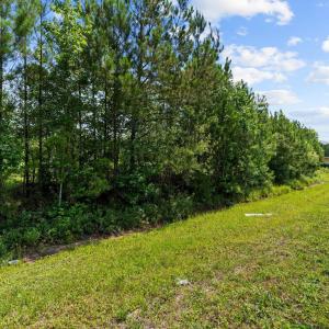4-web-or-mls-BTS08946