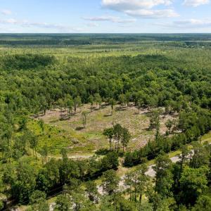 5-web-or-mls-DJI_0938