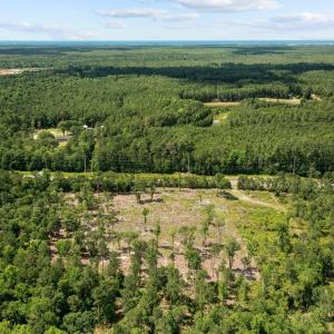 11-web-or-mls-DJI_0945