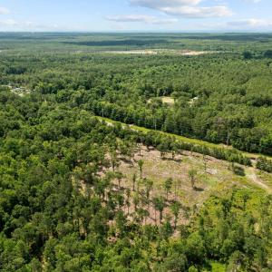 12-web-or-mls-DJI_0946