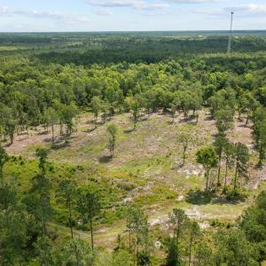 14-web-or-mls-DJI_0948