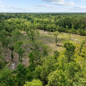 17-web-or-mls-DJI_0952