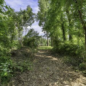RockyPointFarm-25