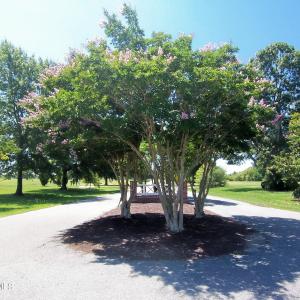 entrance to Mulberry Hill