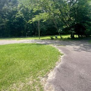 IMG-0018