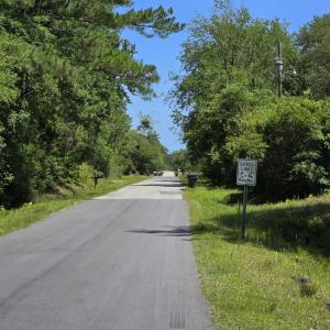 ELM RD 1