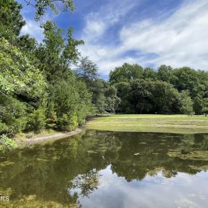 Pond & #5 T-Box View