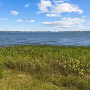 5-web-or-mls-1S3A7718