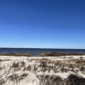 IMG_3482 Large