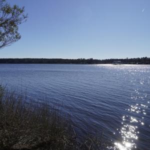 _DSC0322