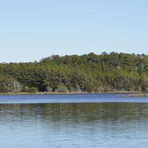 _DSC0350