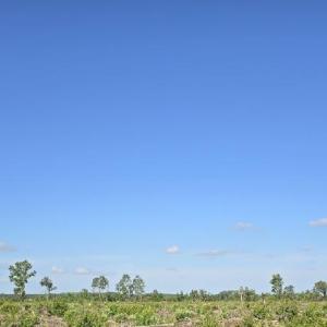 image3.