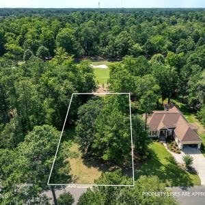 228sycamoreforest-1