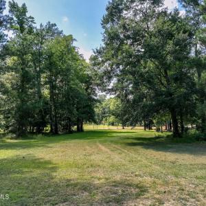 228sycamoreforest-7