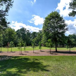 228sycamoreforest-8