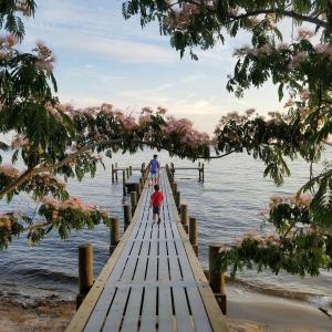 river pier