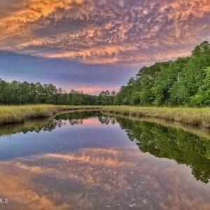 creek reflection