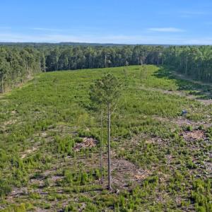 10-DJI-20250719093452-0758-D