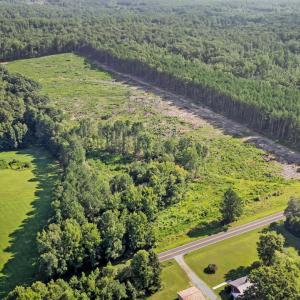 1-DJI-20250719092805-0728-D