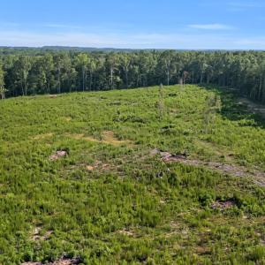 7-DJI-20250719093336-0749-D