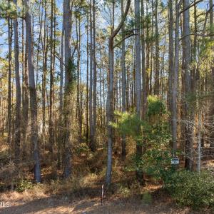 14-web-or-mls-DJI_0459