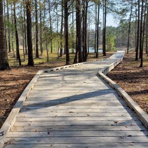 Boardwalk2
