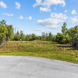 3-web-or-mls-_S3A9573