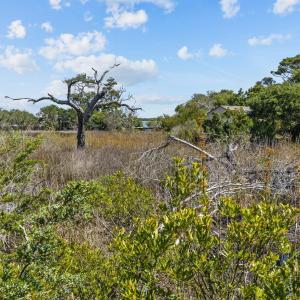 1-web-or-mls-_S3A9570