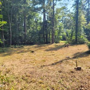 Creekview Lot Pic #3