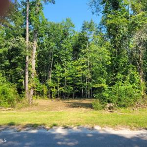 Creekview Lot Pic #2