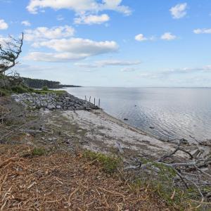 Water and Wildlife Surround You