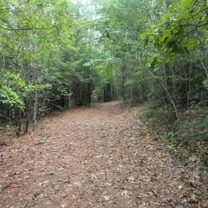 PXL_20240711_191541450.MP