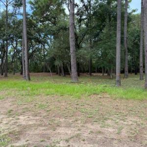 4002BarnesBluff1