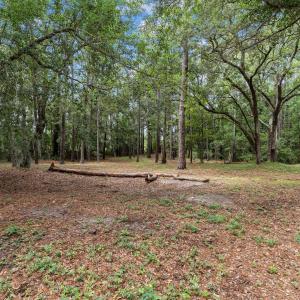 5-web-or-mls-BTS08549