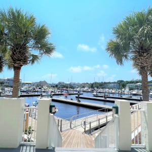 IMG_3129 (2) - Copy