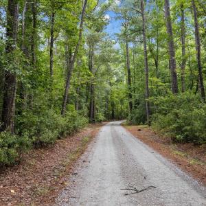 18-web-or-mls-BLS_0001