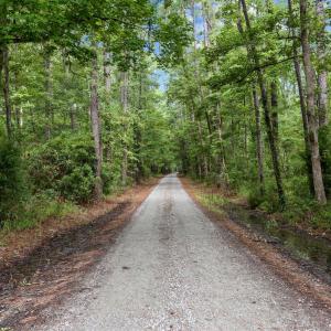 19-web-or-mls-BLS_0002