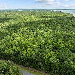 5-web-or-mls-DJI_0352