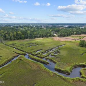 Palmetto towards Preservation