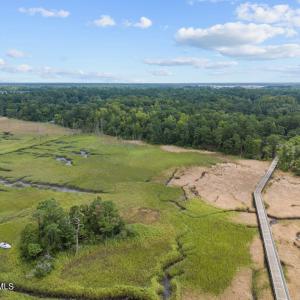 from water back to land Palmetto