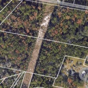 Palmetto Aerial Lot Lines