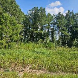 Lot 1 Durgantown