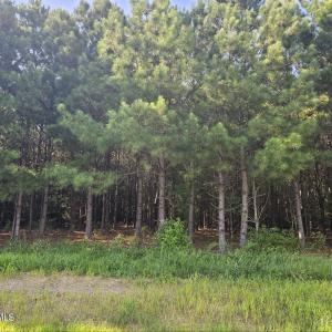 Lot  6 Durgantown