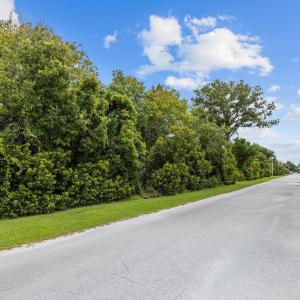 2-web-or-mls-1S3A0247