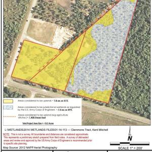 USACE WETLAND MAP