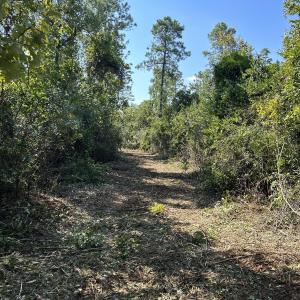 68555206964__AB159DC7-EC01-49F9-B08B-6FB